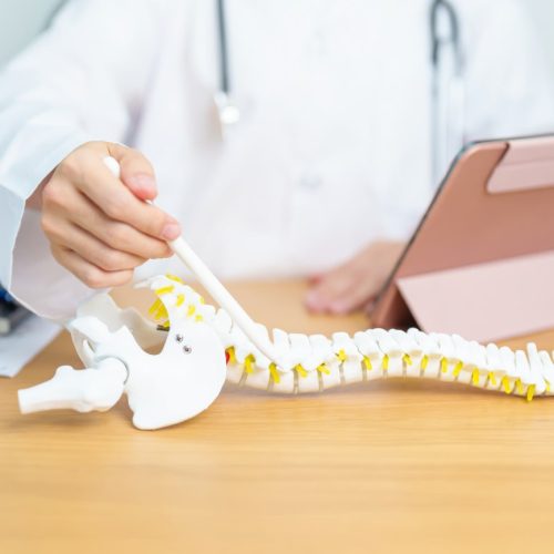 Spine
